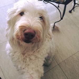 Meet your Posher, Leanne